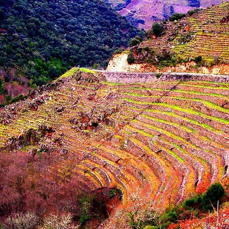Castelodobispo - Ourense Sobrado del Obispo Ngoại thất bức ảnh