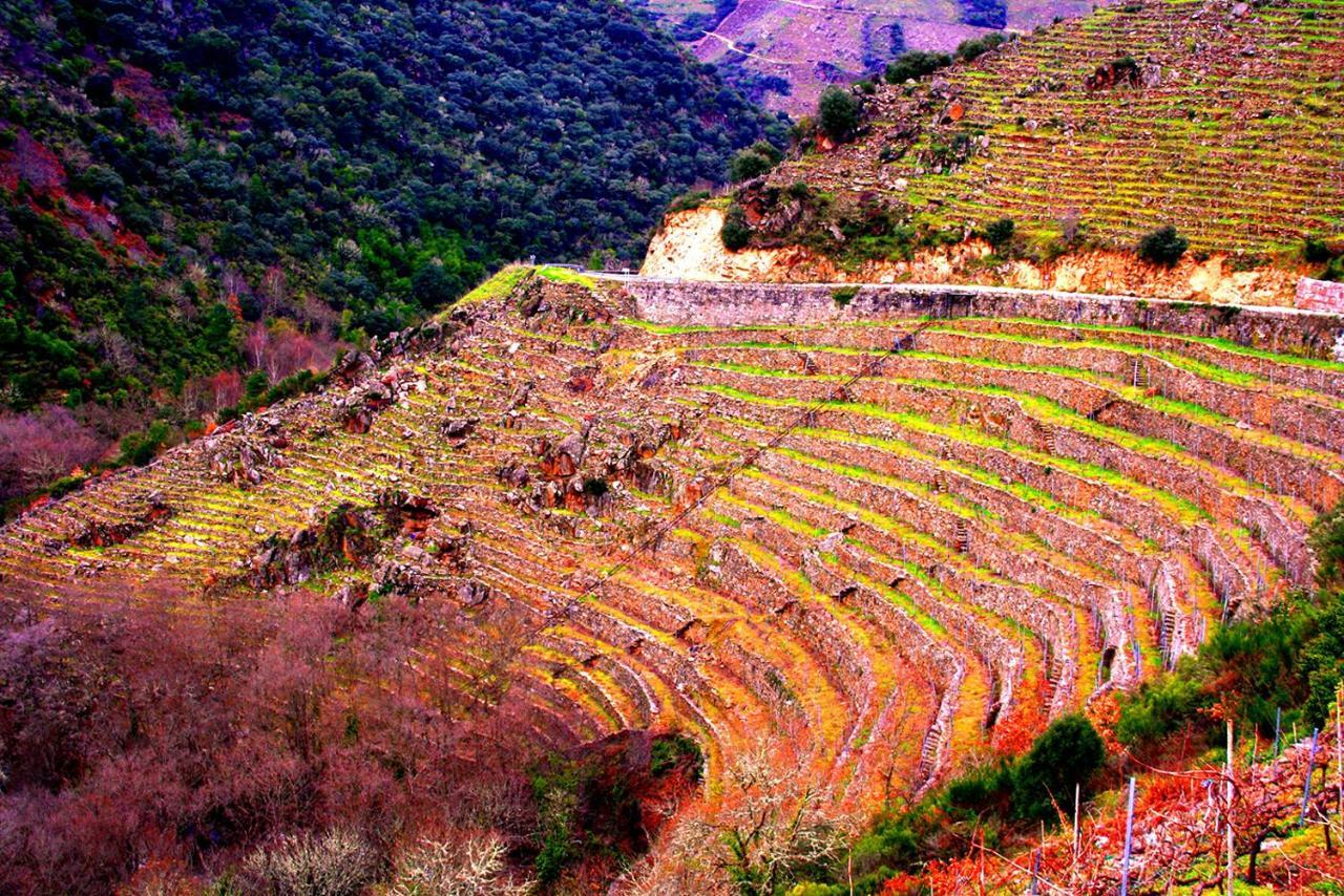 Castelodobispo - Ourense Sobrado del Obispo Ngoại thất bức ảnh